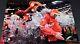 Andy Reid Autographed Super Bowl 58 Lviii Kansas City Chiefs 16x20 Photo Beckett